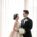 레브진헤어