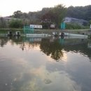 관리낚시터 이미지