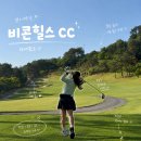 통나무힐스 | 강원도 골프장 추천 비콘힐스CC 다녀온 솔직 리뷰