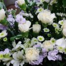 네이버죤 이미지