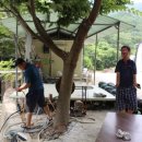 키즈팜민박 이미지