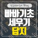빠바라기