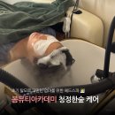숲실천 | 보라매두피 관리 봄뷰티아카데미 | 50대 엄마 탈모에 청정한숲 순환디톡스 선물 후기
