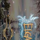 엘가드 | 갤럭시플레이어70으로 엘가드구동후기