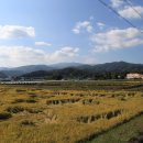 옥대1리 이미지