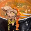 분당-358 | 분당 샤브샤브 서판교 맛집 미가온 칼국수 내돈내산