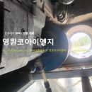 오호초등학교 이미지