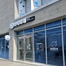 꼼꼼 애견미용실 이미지