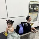 8월기록. 일상블로그, 대구맛집 영생덕, 장가네부산밀면