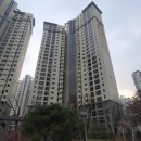 위시티아름다운의원 이미지