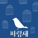 파랑새미술학원 이미지