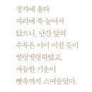 술병자리 이미지