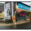 대관령 사파리 목장 이미지