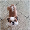 동인동물병원 이미지