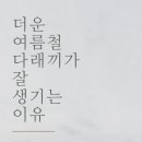 [우이동 안과] 왜 여름만 되면 다래끼가 자주 생길까?