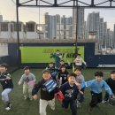 수영태권도아카데미 이미지