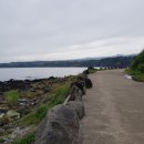 제주손칼국수냉면전문점 이미지