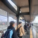 인천그린주유소 | cizgi 렌트카 이용 터키 렌트여행 장단점 총정리(안탈리아 시내/해안도로 운전 후기, 주유하는 법, 주유비)