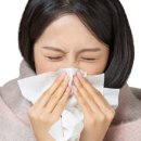 동화약국 이미지