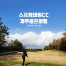 피어하우스바다(PEERHAUS) | ⛳ 제주 골프여행 스프링데일CC 라운딩 후기