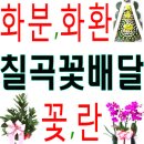 아리아장여관