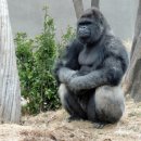 서울대공원 이미지