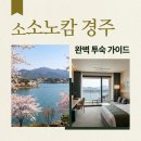 세븐일레븐태평마리골드점 | 소노캄 경주 객실 선택 가이드와 풀앤스파 조식 이용 꿀팁 총정리