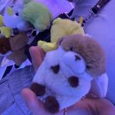 뽑자오빠 이미지