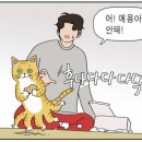 룰루투어 이미지