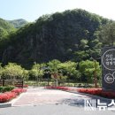 수리바위 캠핑정원 이미지