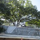 거차뻘배체험장 이미지