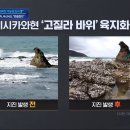 일본 지진으로 해안가 6미터 융기현상 / 日 규모 7.1 강진..&#34;난카이 대지진 가능성 조사 중&#34;, 주택붕괴 속출·신칸센 급정차..부산 이미지