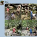 유명산힐링캠프 이미지
