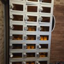 나무향기 | 춘천 찜질방 나무향기한증막 예약 팁 방문 후기