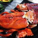 백호상회 이미지