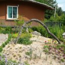 별빛사냥 이미지