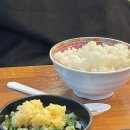 11/21(화)