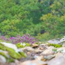 풍경스케치(주간) 이미지