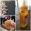 용자농장 이미지