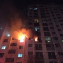 해운대구 70 부산일보