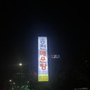 송천민물매운탕 | 일산 맛집 송천 민물매운탕 솔직후기