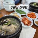 주왕산삼계탕 체인본점 | 인의동 삼계탕 맛집 주왕산삼계탕 본점 몸보신 후기