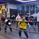 HANBOXING 이미지