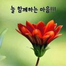 하루를 즐겁게 하는 방법 이미지