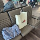 세븐일레븐 오류역점 | 후쿠오카 1박2일 혼자여행 코스 1일차, 텐진호르몬·야쿠인카페·1인 모츠나베 코스