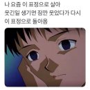 티엠아이 이미지