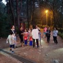 우리 민화(야간) 이미지