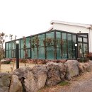 제주키즈풀빌라 나무와 아이 이미지