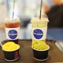 태백 해바라기 축제 이미지