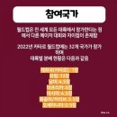 11월 13일(일) 2022 카타르 월드컵 최종 엔트리 26명 확정됬다고 해서 쓰는 글 이미지